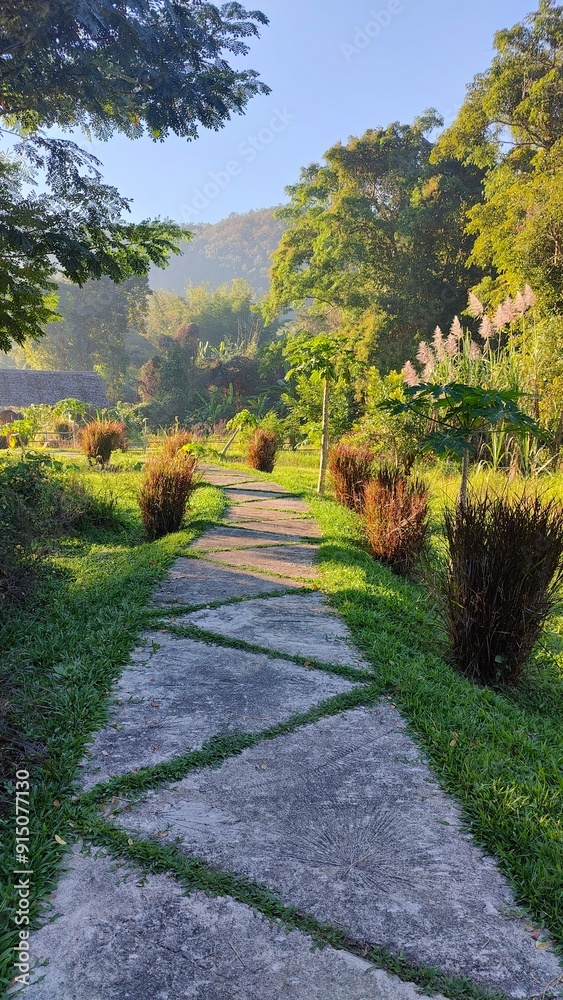Obraz premium Hiking in the stunning green hills and landscapes in Northern Thailand