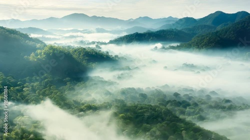 Wallpaper Mural Green and misty. Tropical rainforest. Torontodigital.ca