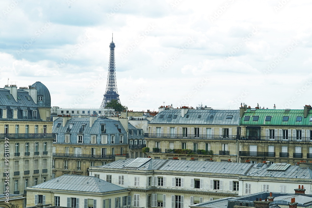 Obraz premium View of Paris from Orsay Museum, France