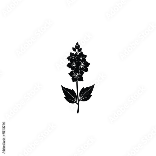 delphinium