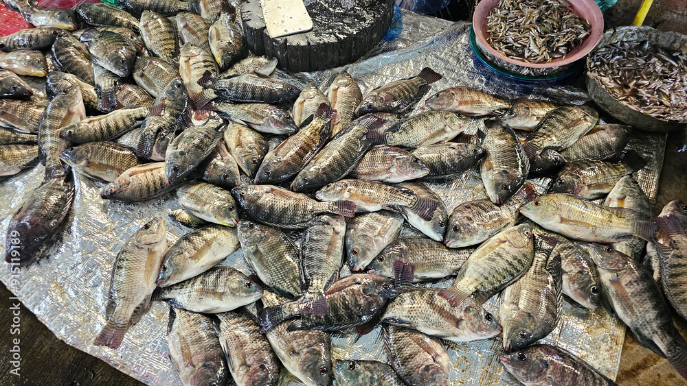 A market stall displaying a large quantity of fresh tilapia fish A market stall displaying a large quantity of fresh tilapia fish