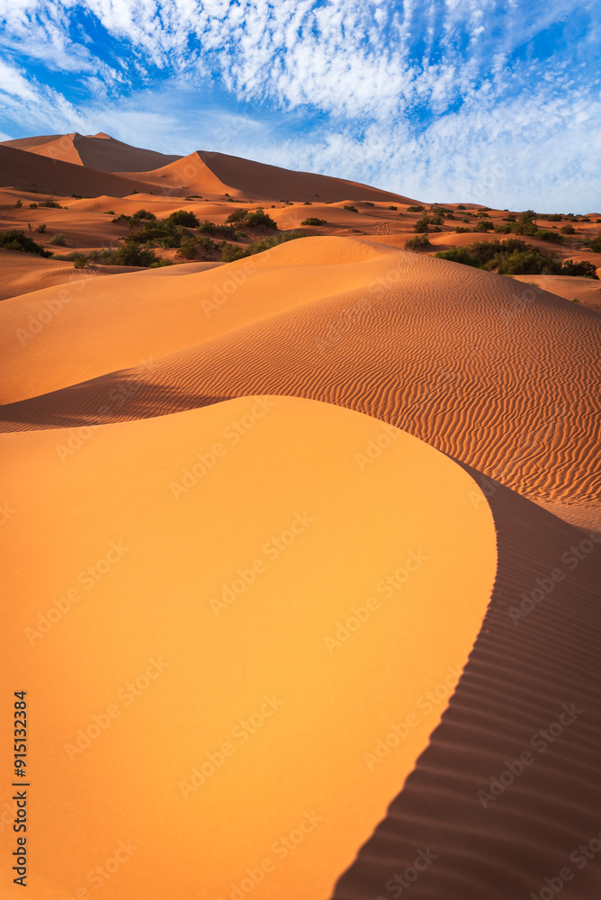 Merzouga, Morocco. Sand dunes in the Sahara Desert, North Africa - Erg Chebbi dunes.