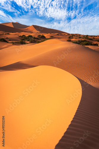 Obraz na płótnie Merzouga, Morocco. Sand dunes in the Sahara Desert, North Africa - Erg Chebbi dunes. w salonie