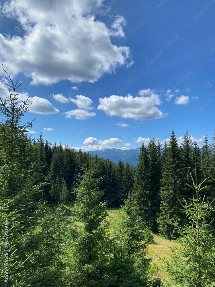 Fototapeta premium beautiful view with path to the mountains
