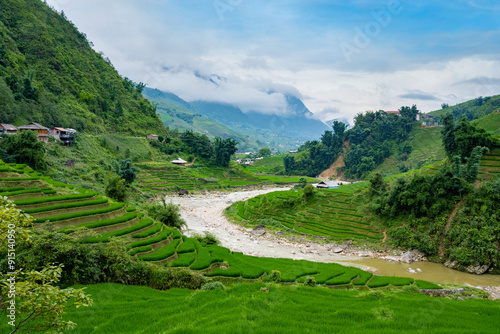 Fotografia Vallée fertile dans la région de Sapa, vietnam