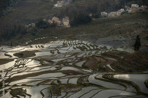 High angle and sprning view of water in terraced rice paddy on the hill against houses of a villlage at Won Yang of Yunnan Province, China
 photo