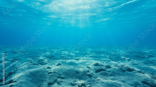 underwater view of a reef