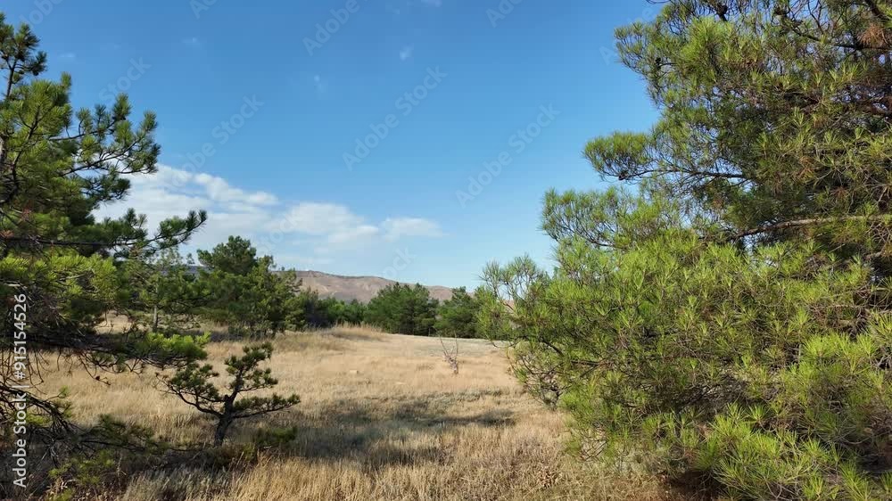 Wander through the tranquil expanses of Crimea, where lush greenery meets vast open fields under a clear blue sky. Wander through the tranquil expanses of Crimea, where lush greenery meets vast open fields under a clear blue sky.