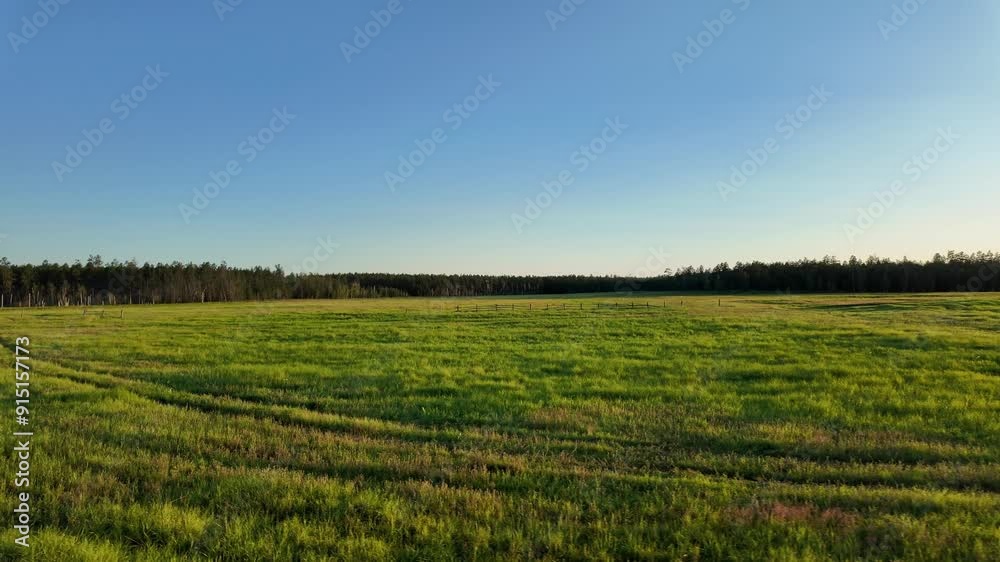 Experience the serene beauty of expansive green fields bathed in golden sunlight, reflecting the tranquil essence of Yakutia, Russia’s captivating landscapes. Experience the serene beauty of expansive green fields bathed in golden sunlight, reflecting the tranquil essence of Yakutia, Russia’s captivating landscapes.