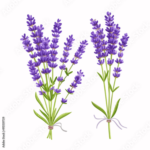 Fototapeta Naklejka Na Ścianę i Meble -  Lavender Bouquet Realistic illustration (3)