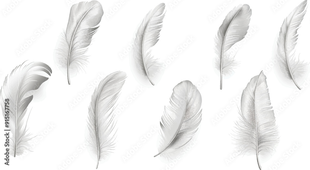 set of flying light gray feather isolated on white background set of flying light gray feather isolated on white background