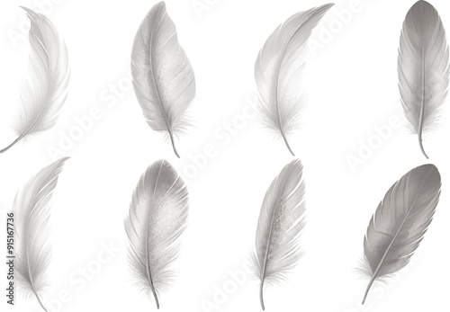set of flying light gray feather isolated on white background