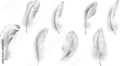 set of flying light gray feather isolated on white background
