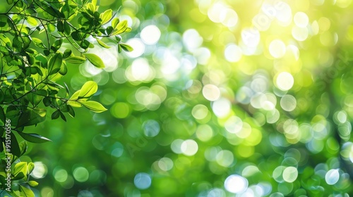 Green Nature Bokeh Background: Blurred Trees Close-up, Spring Backdrop with Copy Space