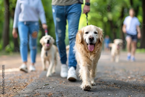 A group of people stroll with their dogs on leashes along a scenic park trail in morning light, representing socializing, fitness, and the joy of pet ownership.