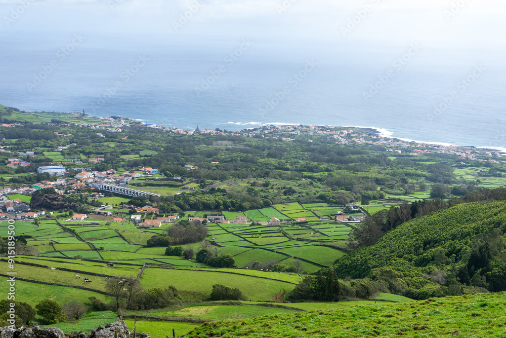 Fototapeta premium Lush green fields of the Azores, divided by stone walls forming neat rectangular plots, under a clear sky. A serene landscape showcasing the natural beauty and unique agriculture of the islands.
