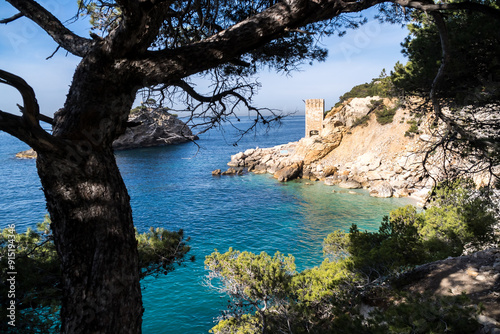 calanque de marseille - provence - france