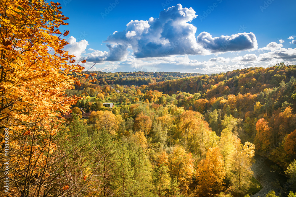 Fototapeta premium A lush autumn forest in Pavilniai Regional Park, Vilnius, Lithuania, frames Puckoriu atodanga in brilliant shades of green, yellow, and orange