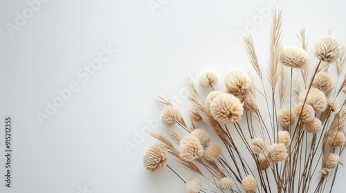 Bouquet of tan pom pom plants on white, minimal holiday decor with bunny tails grass photo