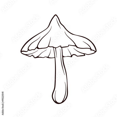 Deadly Webcap mushroom in line art style. Mature mushroom with a wide cap. Autumn design. Vector illustration isolated on a white background.