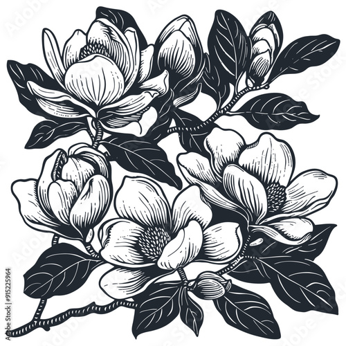 Blooming magnolia branch, Vector illustration