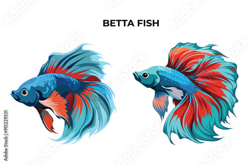 Detailed Betta Fish vector illustration. Perfect for culinary, marine, and environmental designs. High-quality vector for easy customization. Ideal for menus, packaging, education, and web graphics.