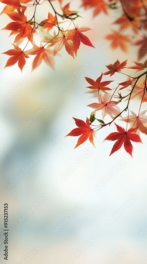 Autumn maple leaves background, fall backdrop Autumn maple leaves background, fall backdrop
