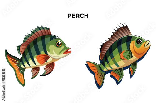 Detailed Perch fish vector illustration. Perfect for culinary, marine, and environmental designs. High-quality vector for easy customization. Ideal for menus, packaging, education, and web graphics.