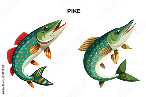 Detailed Pike fish vector illustration. Perfect for culinary, marine, and environmental designs. High-quality vector for easy customization. Ideal for menus, packaging, education, and web graphics.