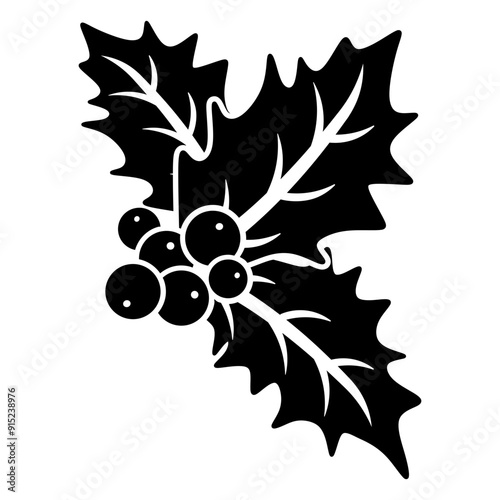 holly