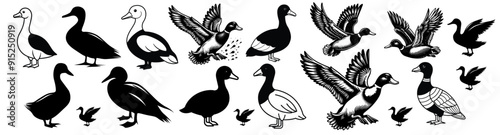 Duck vector silhouettes bundl...