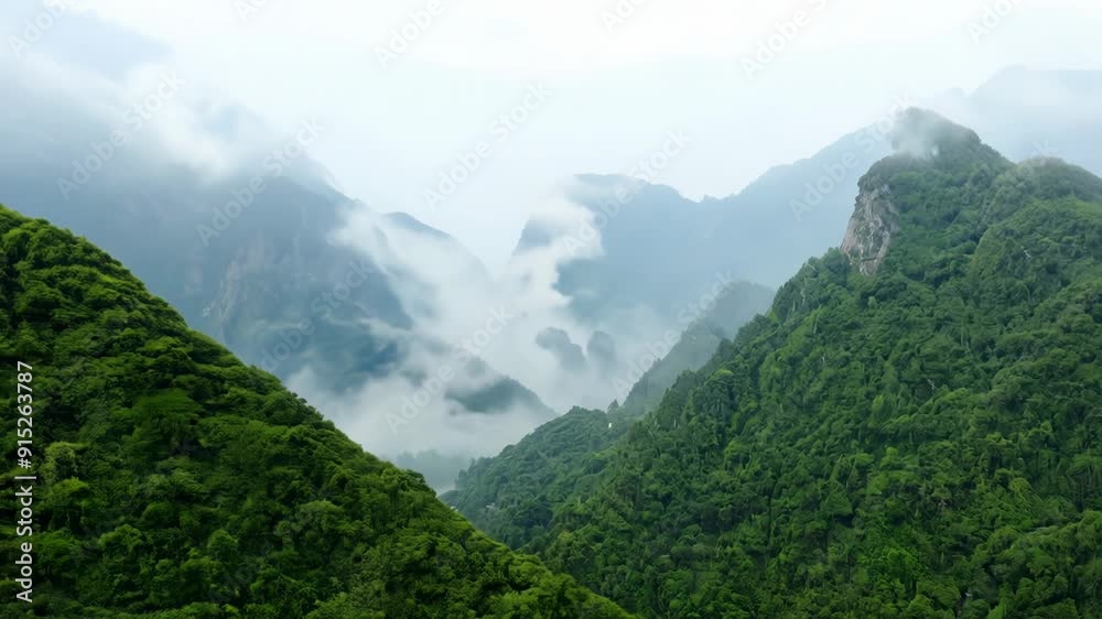 Invigorating Mountain View with Mist and Fog Invigorating Mountain View with Mist and Fog