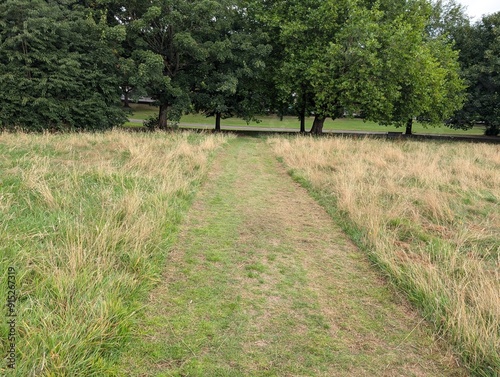 A path through unmown wildlife area in a British park photo