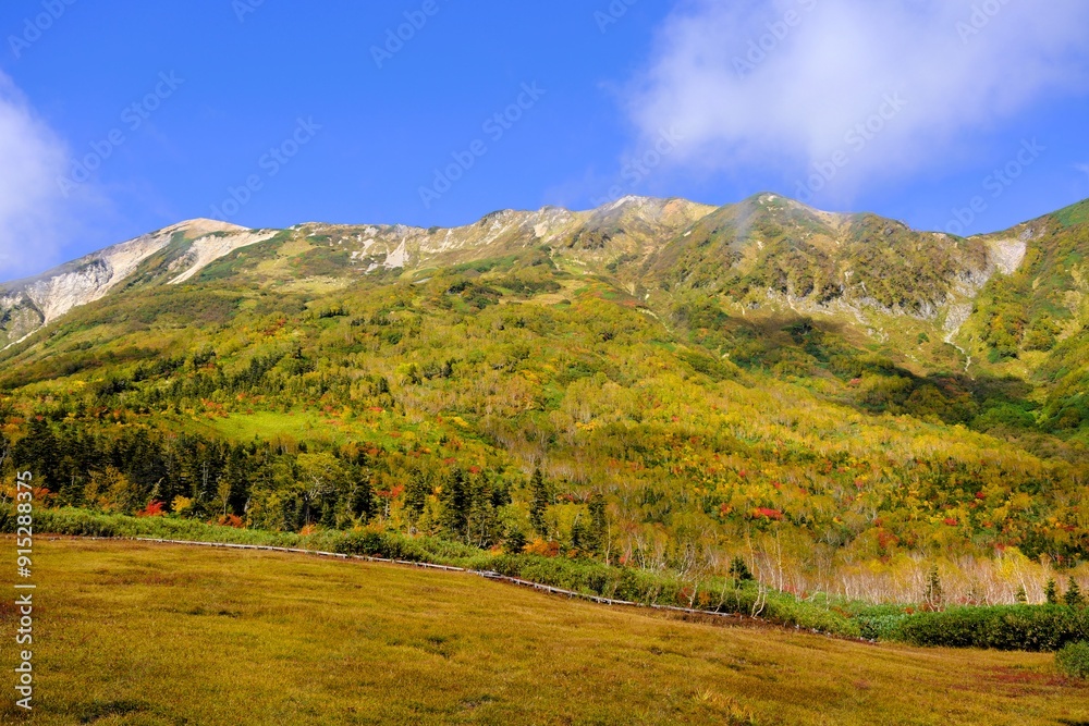 Obraz premium 秋深まる栂池自然園の紅葉