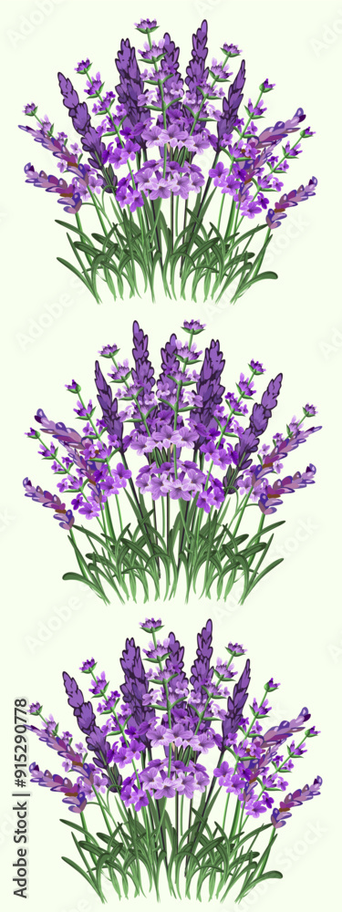 Fototapeta premium Colored background with bouquets of lavender.Vector pattern with blooming lavender on a colored background.