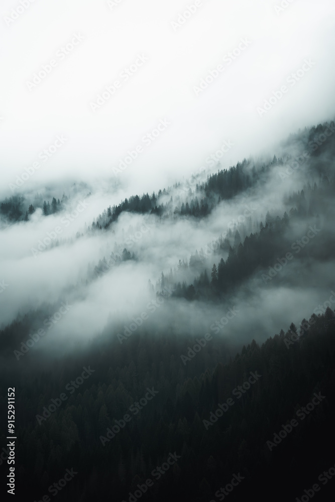 Fototapeta premium Niebla en el bosque