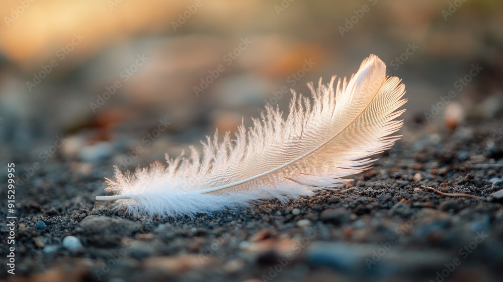 A close-up of a feather on the ground, symbolizing the delicate beauty of nature. A close-up of a feather on the ground, symbolizing the delicate beauty of nature.