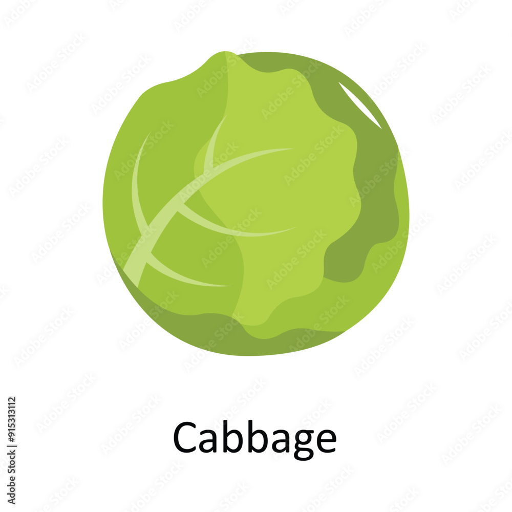 Cabbage Vector Flat Icon Design illustration Symbol on White background EPS 10 File Cabbage Vector Flat Icon Design illustration Symbol on White background EPS 10 File