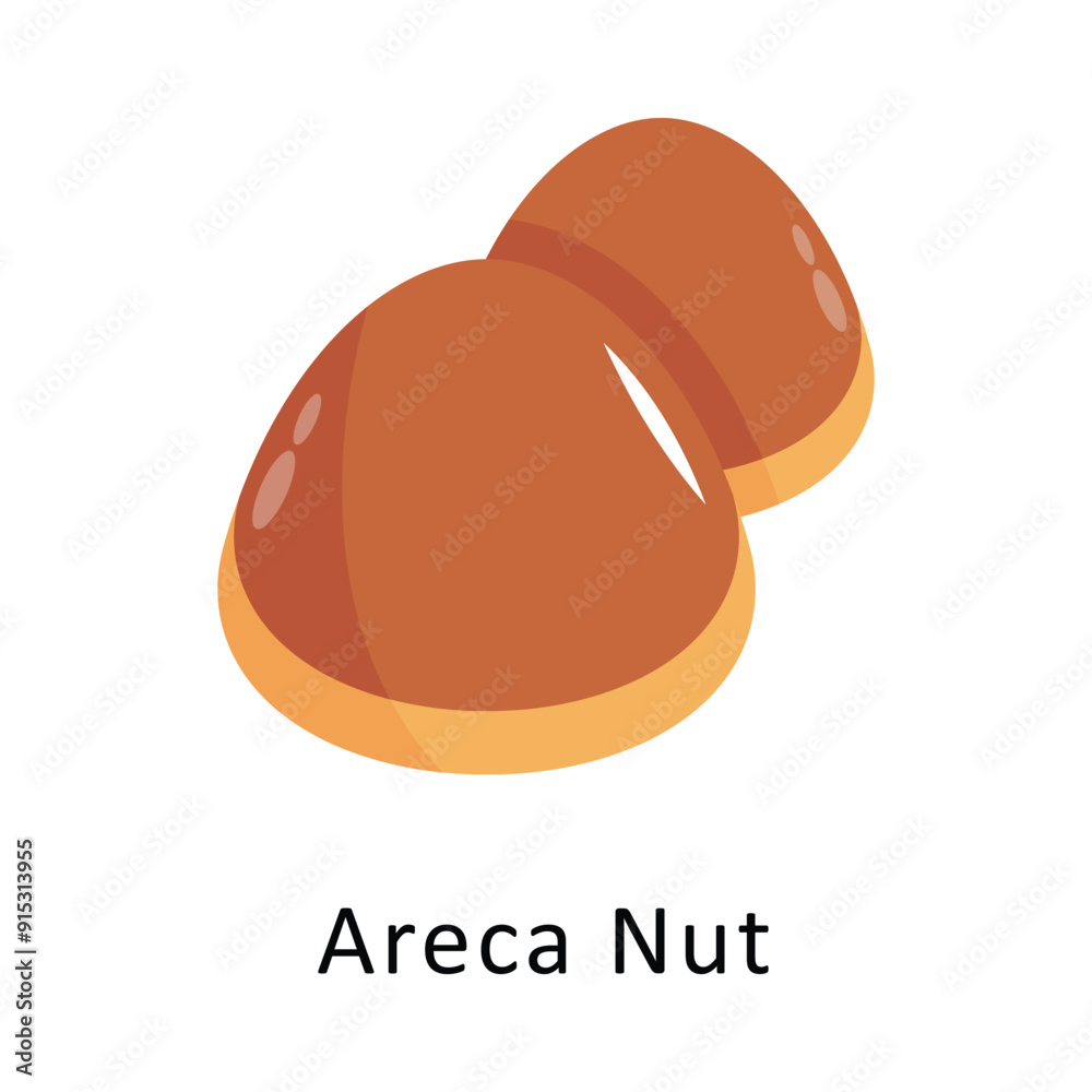 Areca Nut Vector Flat Icon Design illustration Symbol on White background EPS 10 File Areca Nut Vector Flat Icon Design illustration Symbol on White background EPS 10 File