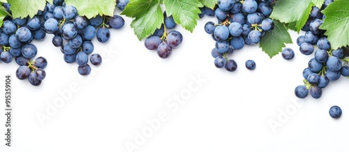 Image of blue grapes and pr...