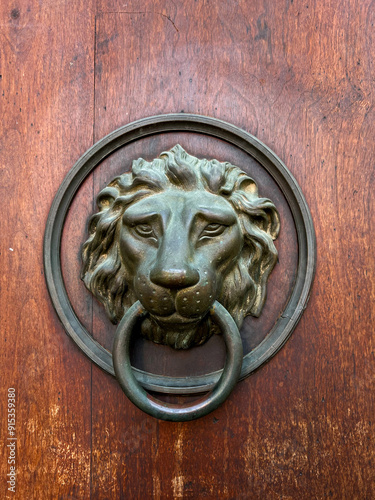 Old antique wooden door decorated with a metal lion head door handle, knob, close-up