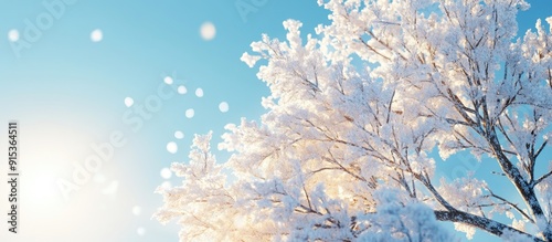 Snow covered tree against a...