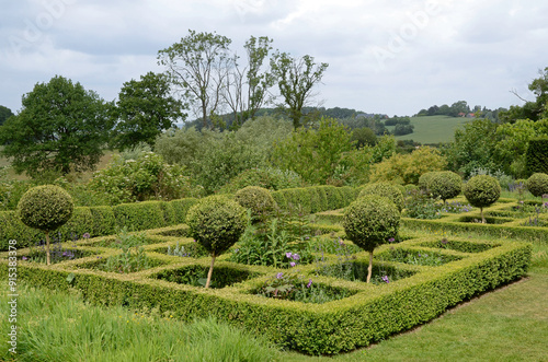 Buis taillé, Buxus sempervirens,  Jardins de la ferme du mont des Récollets, Cassel, 59, Nord, France photo