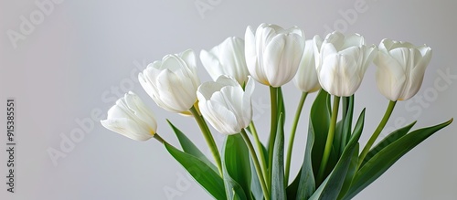 Obraz na płótnie a bunch of tulips on a white background. with copy space image. Place for adding text or design w salonie