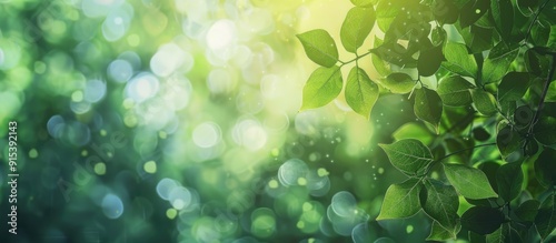 Abstract blurred nature bac...