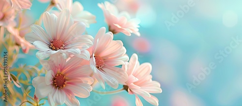 Close up of lovely pastel c...
