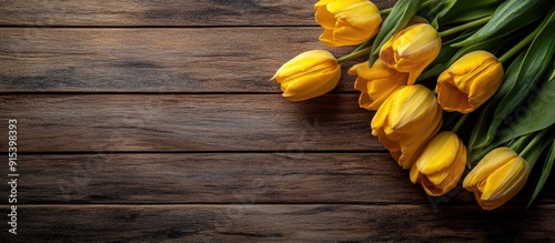 Lovely yellow tulips on a w...