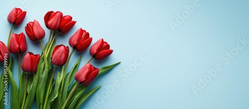 A cluster of red tulips aga...