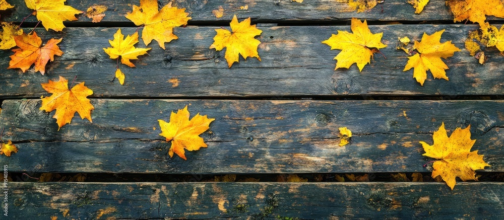 Fototapeta premium Autumn background featuring yellow maple leaves on a rustic wood surface with copy space