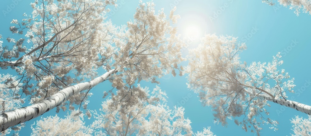 Trees featuring white leaves against a blue sky. with copy space image. Place for adding text or design Trees featuring white leaves against a blue sky. with copy space image. Place for adding text or design